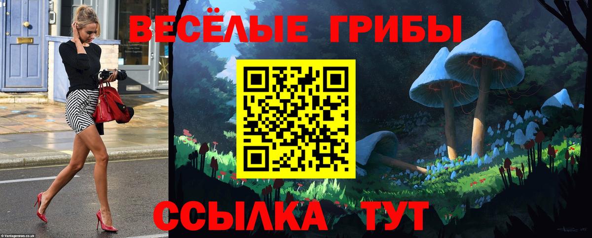 Псилоцибиновые грибы GOLDEN TEACHER  где можно купить   Северск  Псилоцибиновые грибы мухоморы  Вход с VPN 