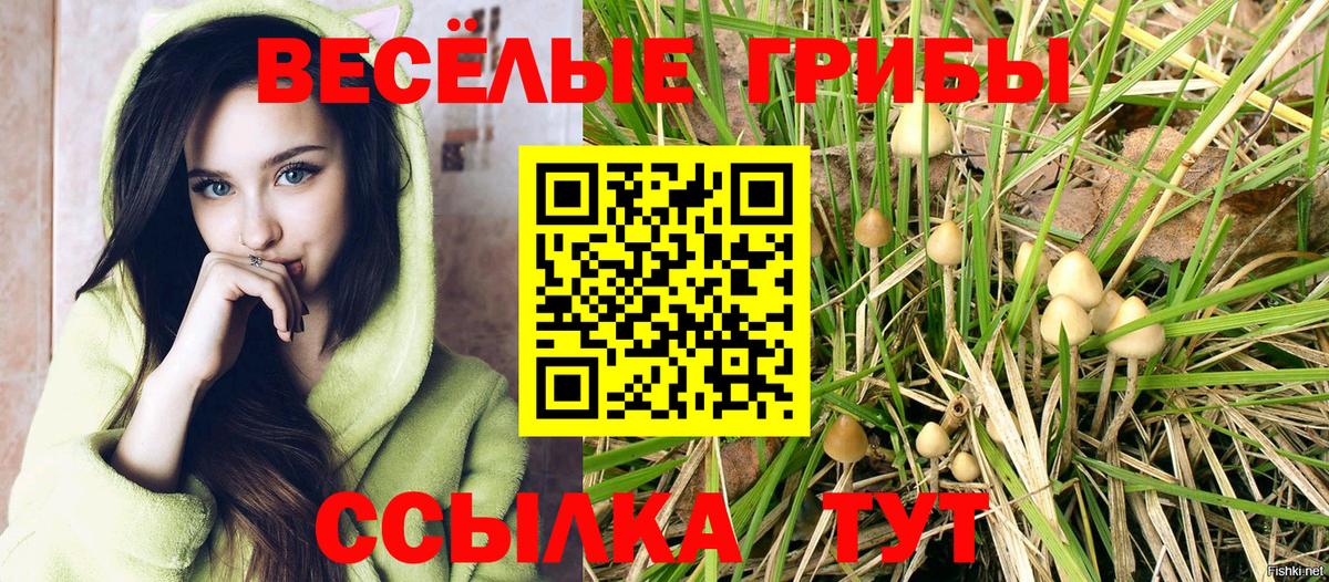 Галлюциногенные грибы Magic Shrooms Северск